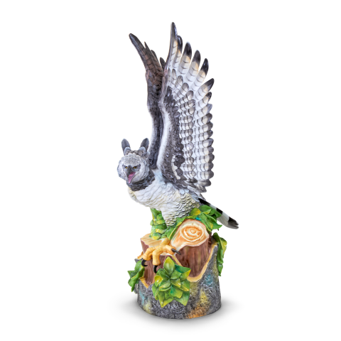 Harpy eagle