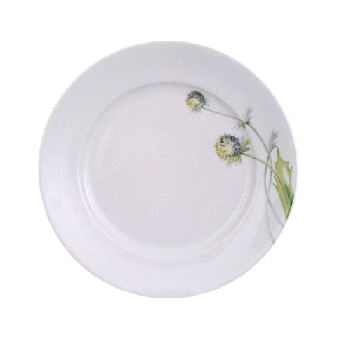 Dinner Plate