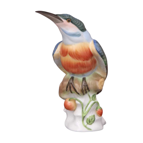 Kingfisher
