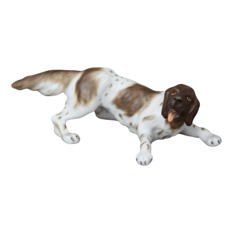 German Vizsla