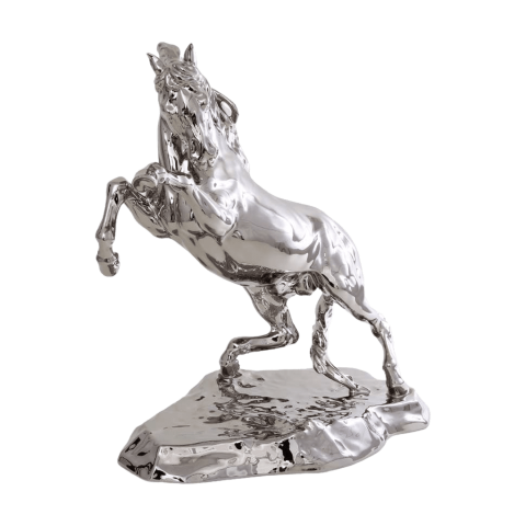 Horse, prancing