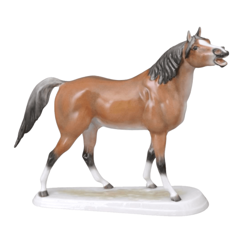 Neighing horse