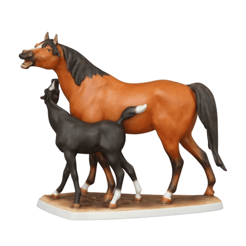 Pony with his monther
