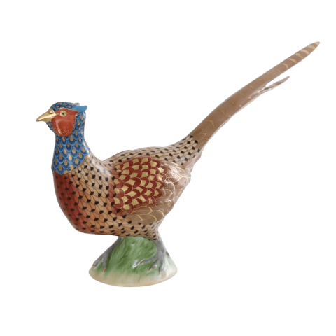Pheasant, rooster