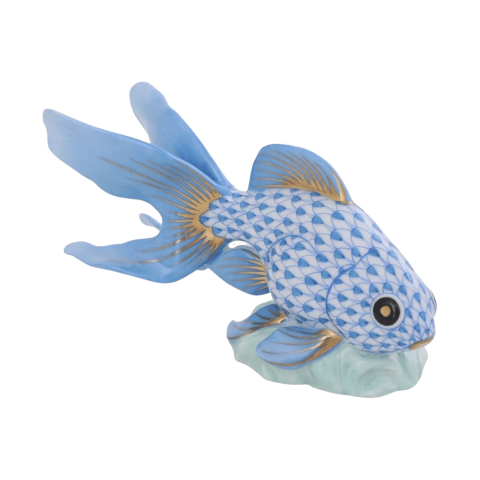 Fantail Goldfish