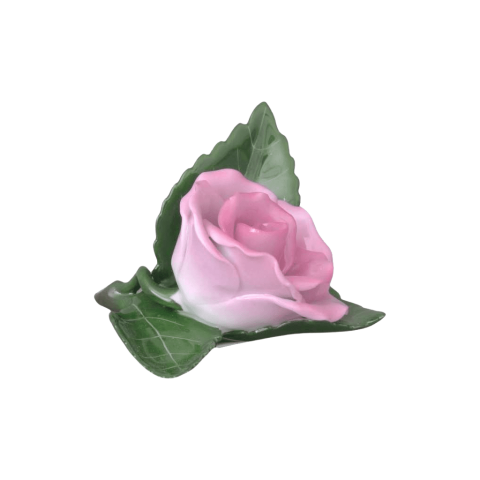 Rose on leaf