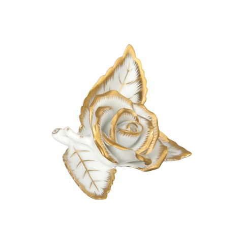 Rose on leaf
