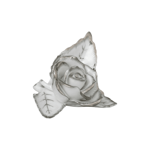 Rose on leaf