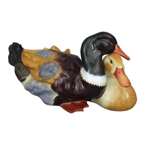Pair of ducks