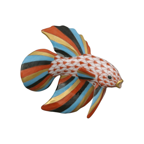 Hunting fishes
