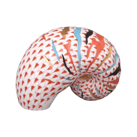 Nautilus Shell