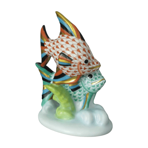 Sail fishes