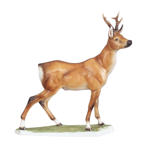 Roe-buck