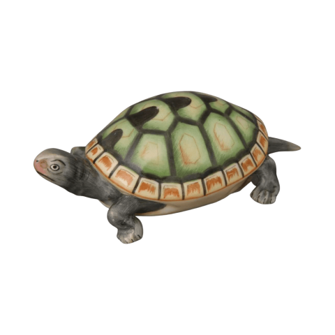 Turtle
