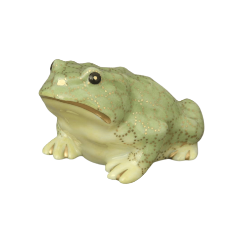 Toad