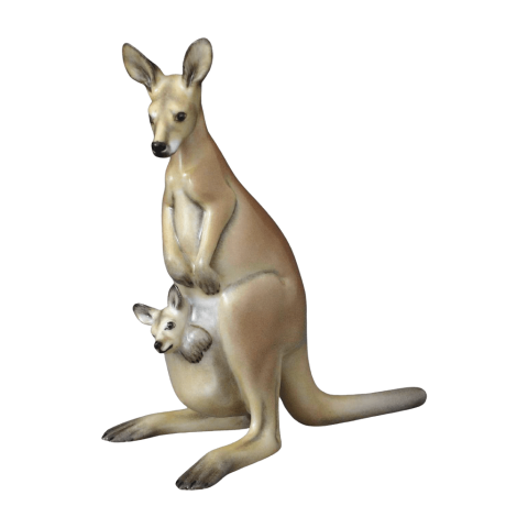 Kangaroo with baby