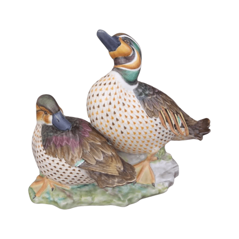 Pair of Baical teals
