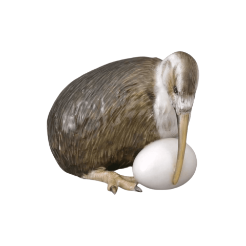 Kiwi bird with egg