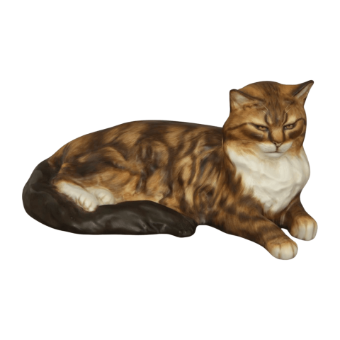 Cat, lying