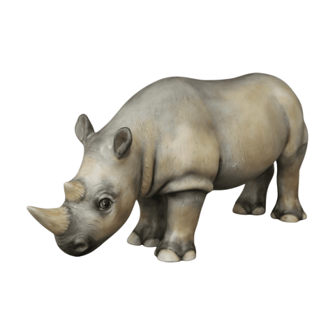 Rhinoceros