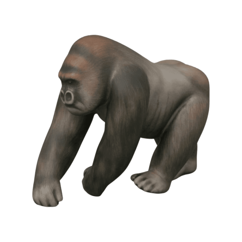 Gorilla