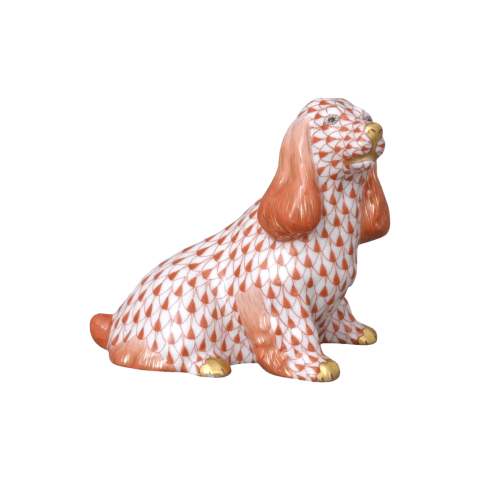 Spaniel, sitting