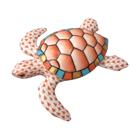 Loggerhead Turtle