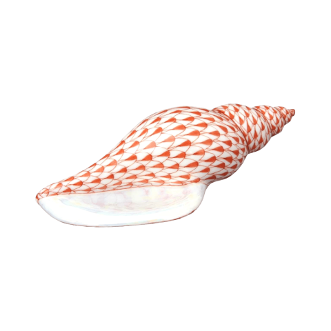 Sea-snail