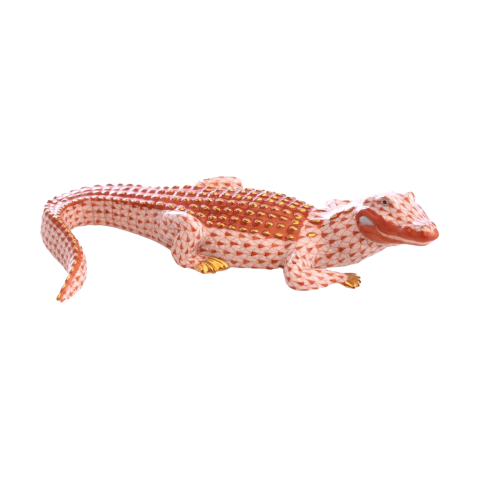 Alligator
