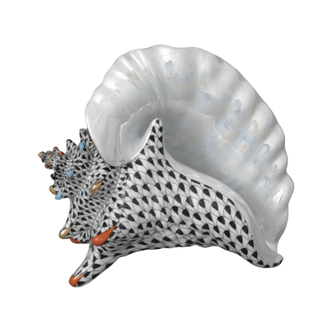 Sea shell