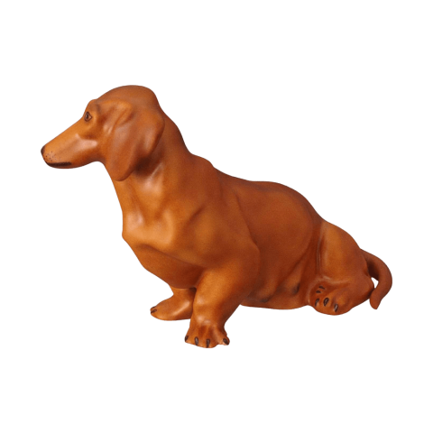 Dachshund