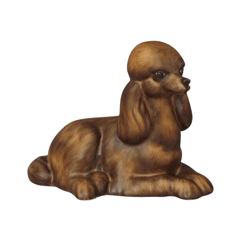 Poodle, lying