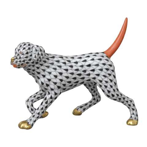 Labrador
