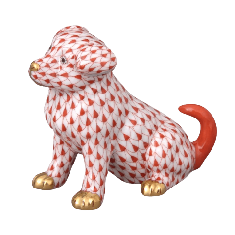 Puppy