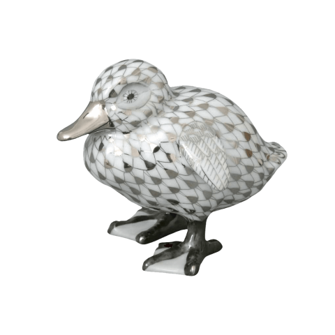 Baby duck