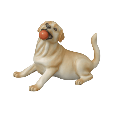 Labrador, sitting, with ball