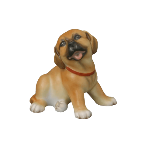Puppy