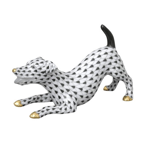 Jack Russell Terrier