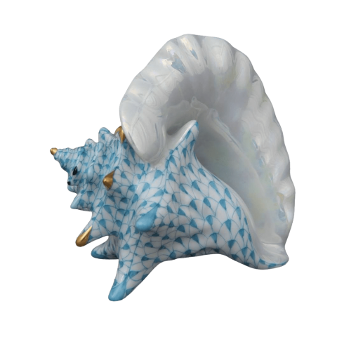 Sea Shell