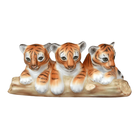 Baby Siberian Tigers