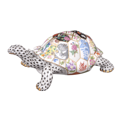 Tortoise
