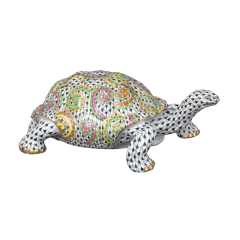 Tortoise