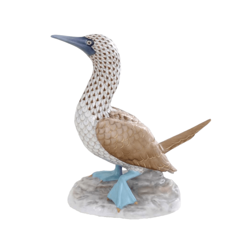 Blue-footed Booby