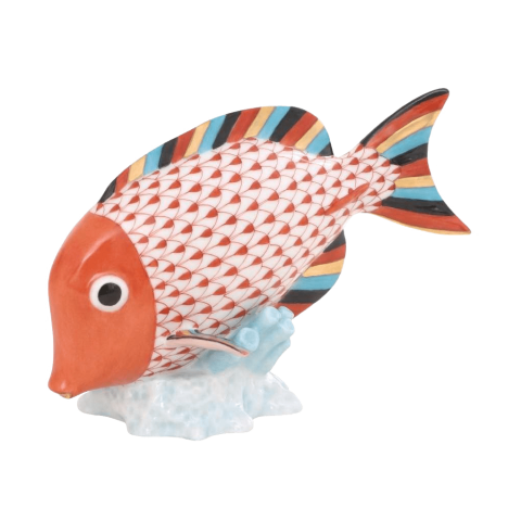 Surgeonfish