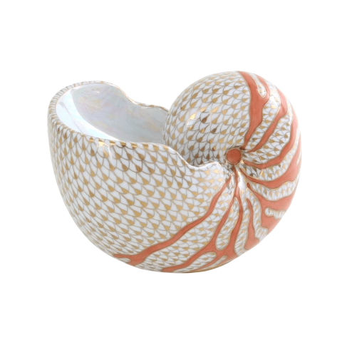 Nautilus