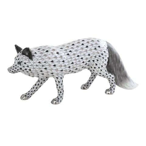 Observant fox