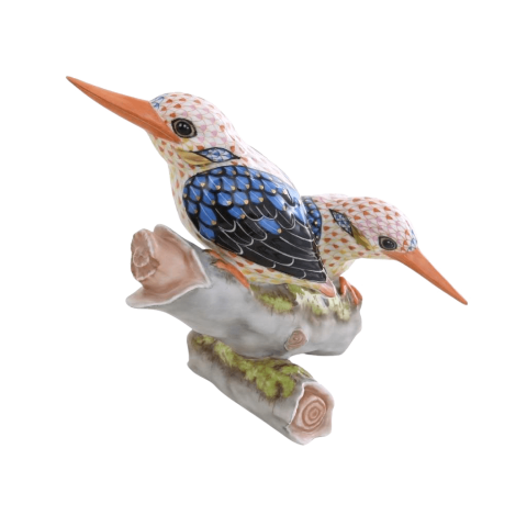 Black-backed Kingfishers