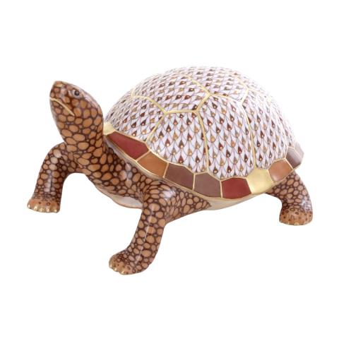 Eastern Box Turtle