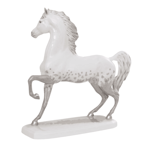 Arabian horse