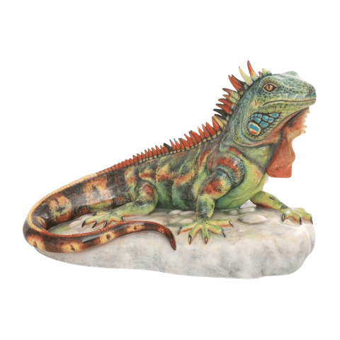 Iguana